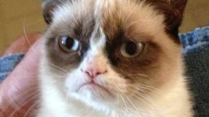 Do you think its rude to not say 'you're welcome' after someone thanks you?