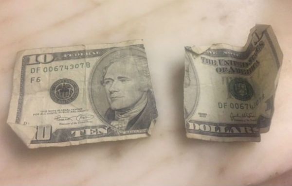 How do you fix your torn currency?
