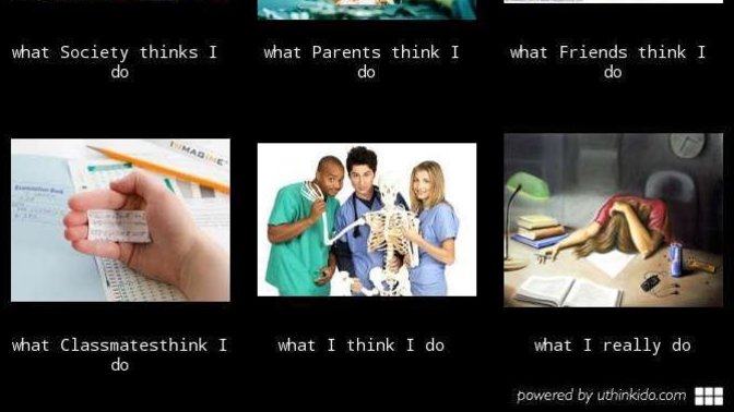 What made you choose the career that you did?