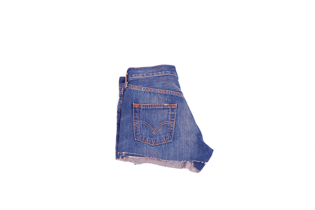 Be Honest βοΈ Do You Like These Cut-Off Denim Shorts?