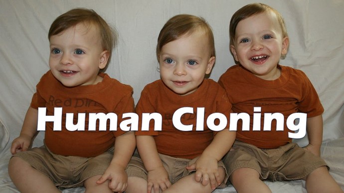 Should clones have the same human rights that other people do, even if they were created for the sole purpose of tissue and organ donation?