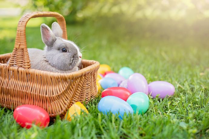 Do you celebrate Easter?
