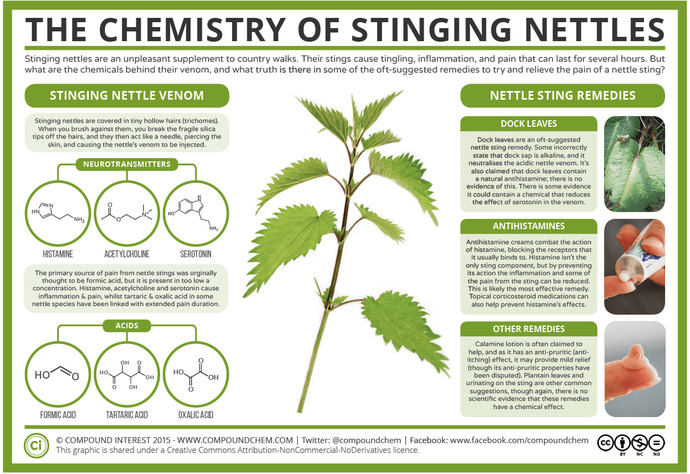 Ever have a tough encounter with a poisonous plant?