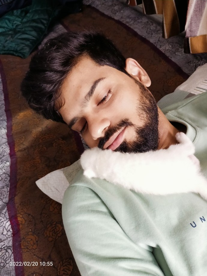 Who else love cats?