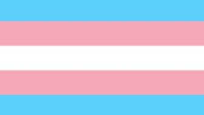 Would you ever be in a romantic relationship with someone who is trans?