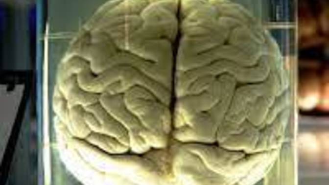 Would you want a brain in a jar?