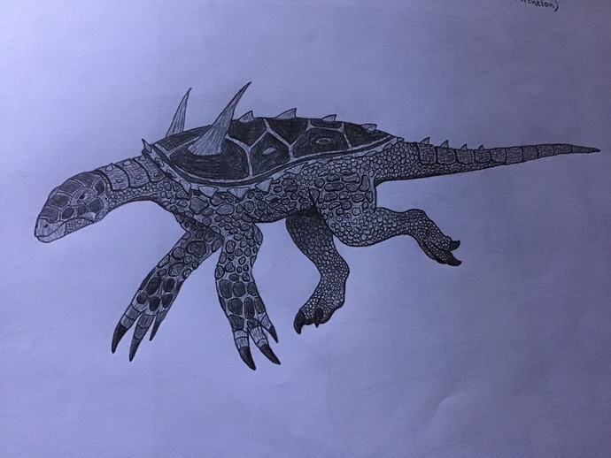 Peltoarch completed in all of their glory?