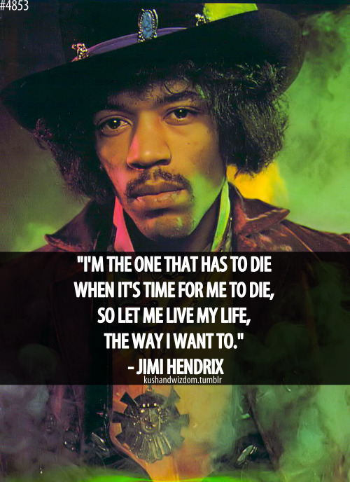 Do you feel bad for celebrities who die from drug overdose?