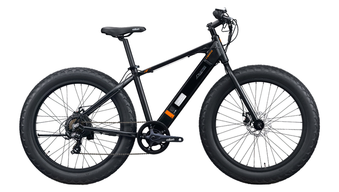 The bike I wish I owned, the E. NOVATUS 26" (discontinued).