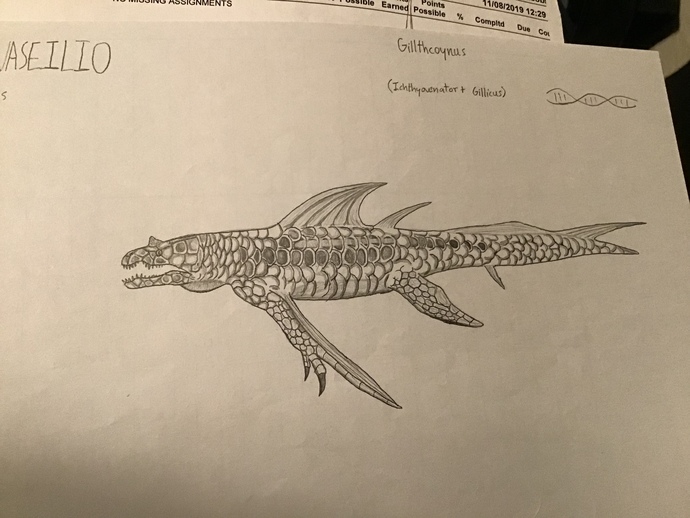 Gillthcoynus (hybrid)?