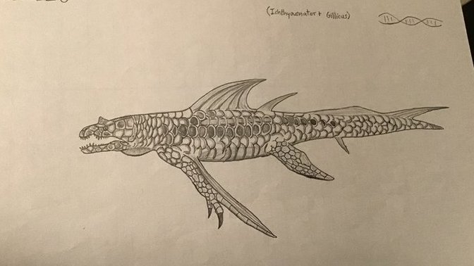 Gillthcoynus (hybrid)?