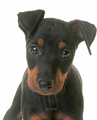 DJ looked similar to this
