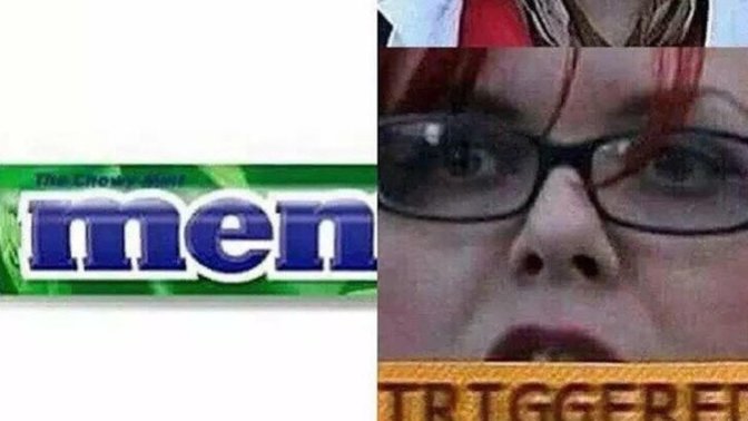 Have you ever met a sane feminist?