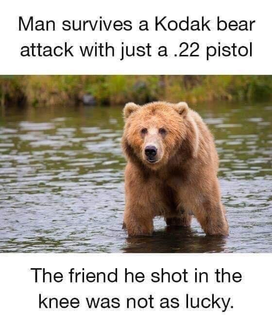 Would you nobble a friend to help your escape from a predator?