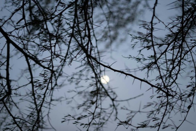 Could you rate my photography?