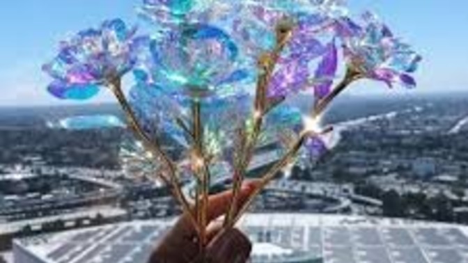 What do you think of the 24k galactic roses for a lover?