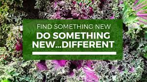 What is Something Different you are Planning on Trying this Year?