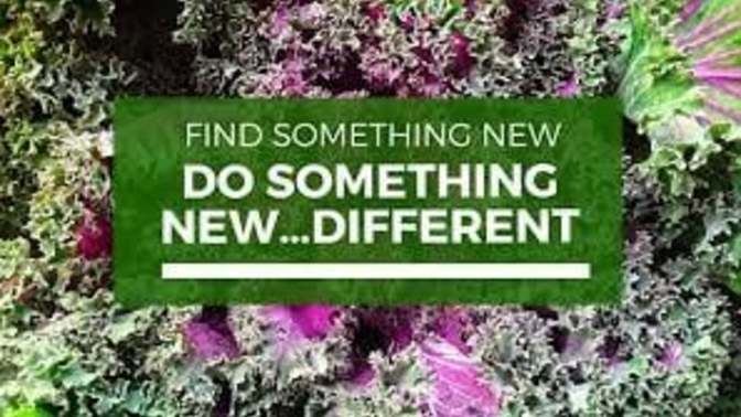 What is Something Different you are Planning on Trying this Year?