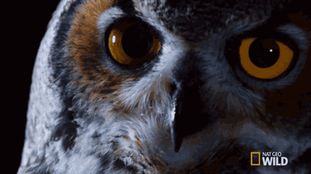 When you stared into the abyss... did it stare right back at you?