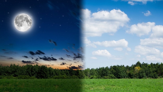 In General, Do You Prefer The Daytime Or Nighttime?