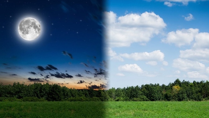 In General, Do You Prefer The Daytime Or Nighttime?