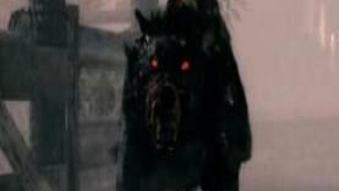 Have you had any nightmares lately?