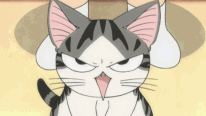 How would you react if your partner hisses at you like a cat anytime they're irritated with you?