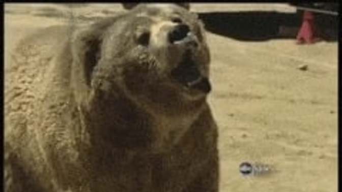 If someone wrote a childrens book where two bears maul a bunch of kids to death for making fun of a bald man would you want that book banned?
