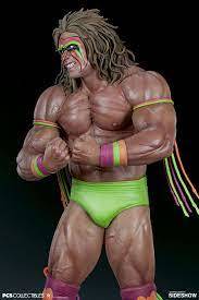 Shouldnt pro wrestlers be allowed to use steroids even if it shortens their lives?