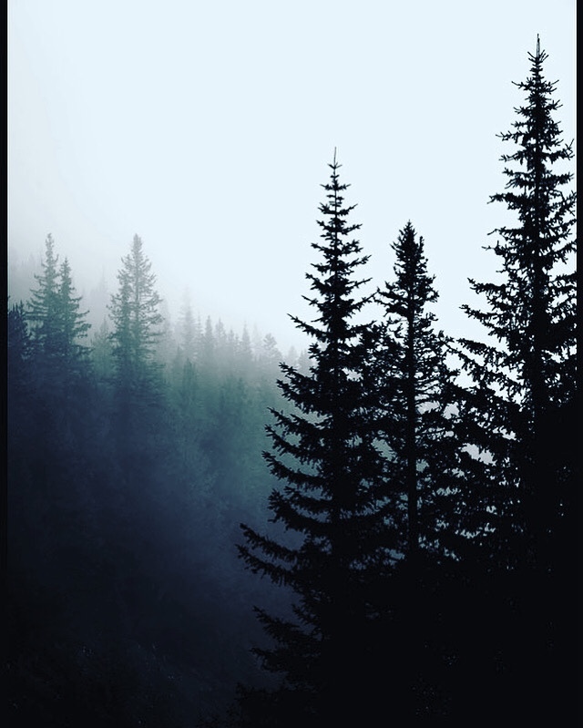 Do you enjoy the beauty of nature?
