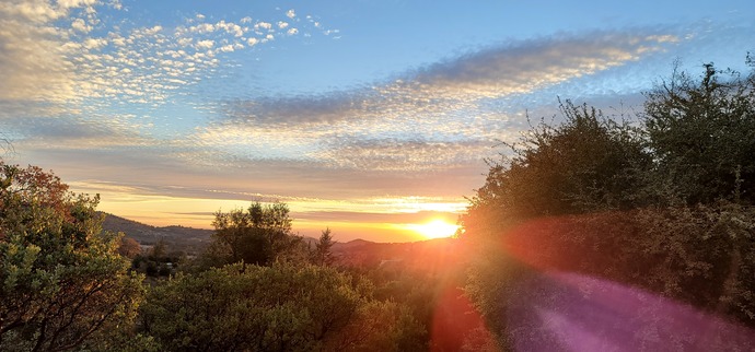 Do you enjoy the beauty of nature?