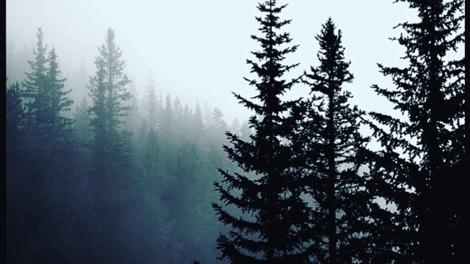Do you enjoy the beauty of nature?