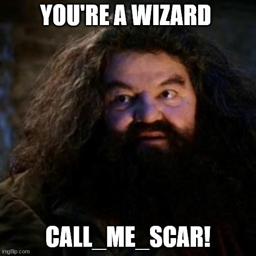 What would you do if Hagrid from Harry Potter broke the news that you're a wizard?