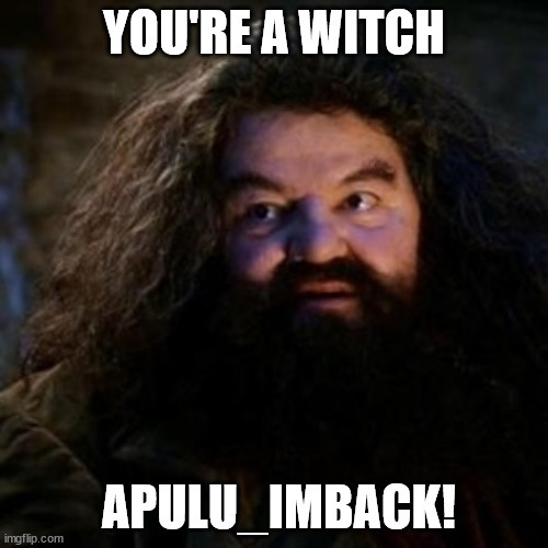 What would you do if Hagrid from Harry Potter broke the news that you're a wizard?