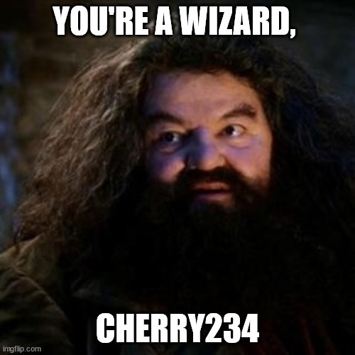 What would you do if Hagrid from Harry Potter broke the news that you're a wizard?