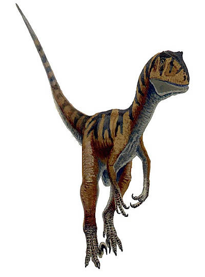 If you could bring back one extinct animal what would it be? Mine would be a Raptor? Deinoychus raptor?