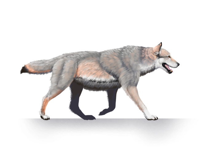 If you could bring back one extinct animal what would it be? Mine would be a Raptor? Deinoychus raptor?