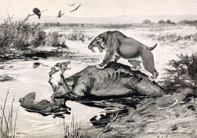 Sabretooth and dire wolf fight over a meal