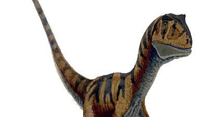 If you could bring back one extinct animal what would it be? Mine would be a Raptor? Deinoychus raptor?