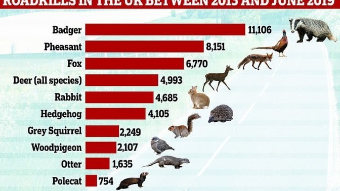 Have you ever eaten road kill?