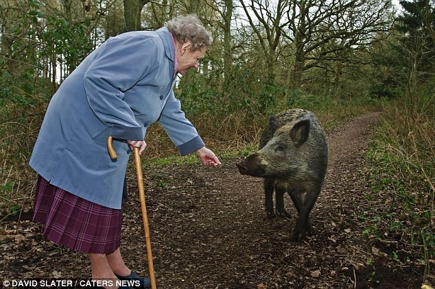 Do you ever feed wild animals up close?