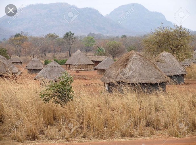 Is Africa really a wild continent as described in books and movies?