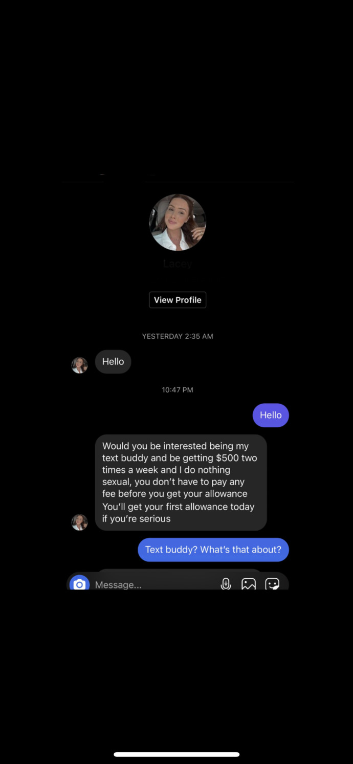 Do you think I handled this potential scammer professionally?