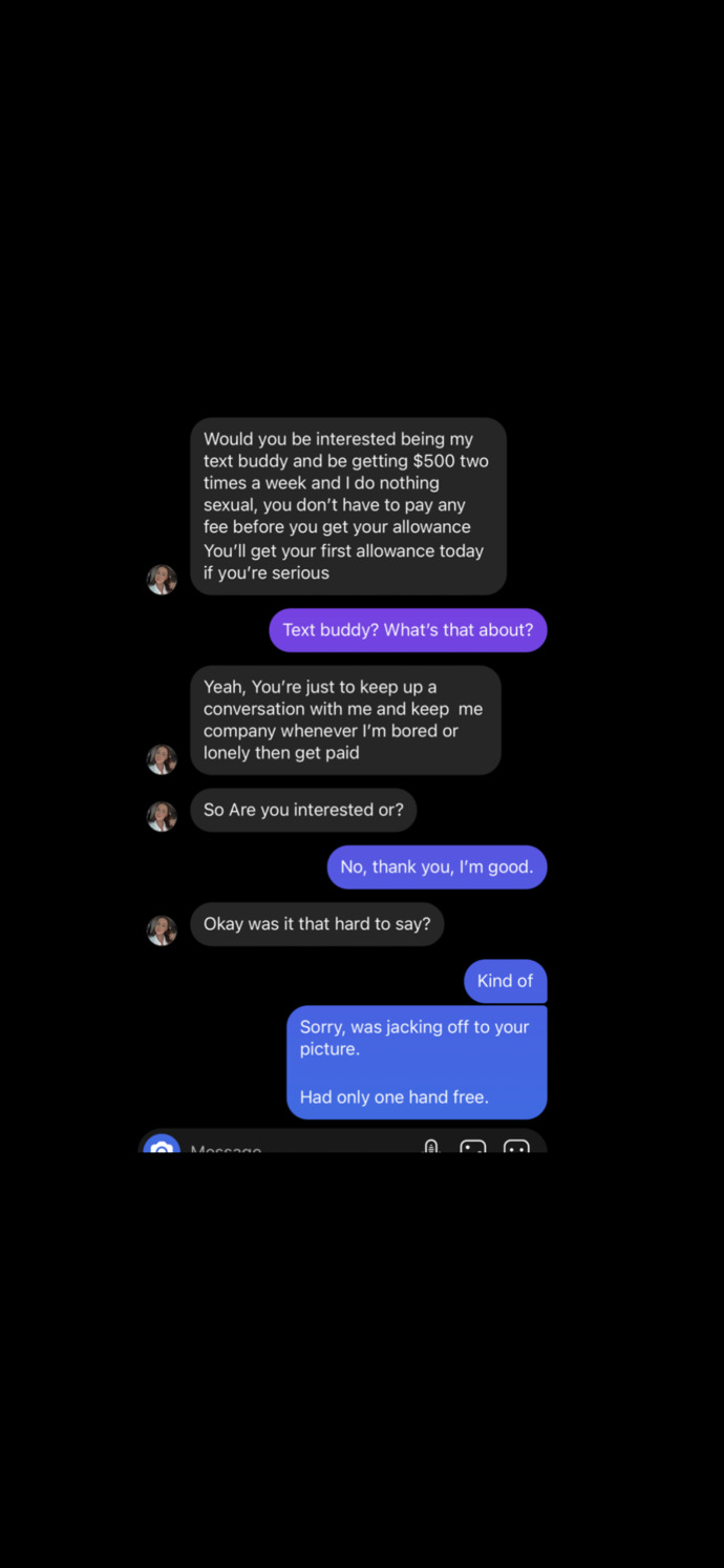 Do you think I handled this potential scammer professionally?