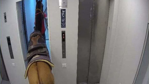 Have you ever had a funny elevator experience?
