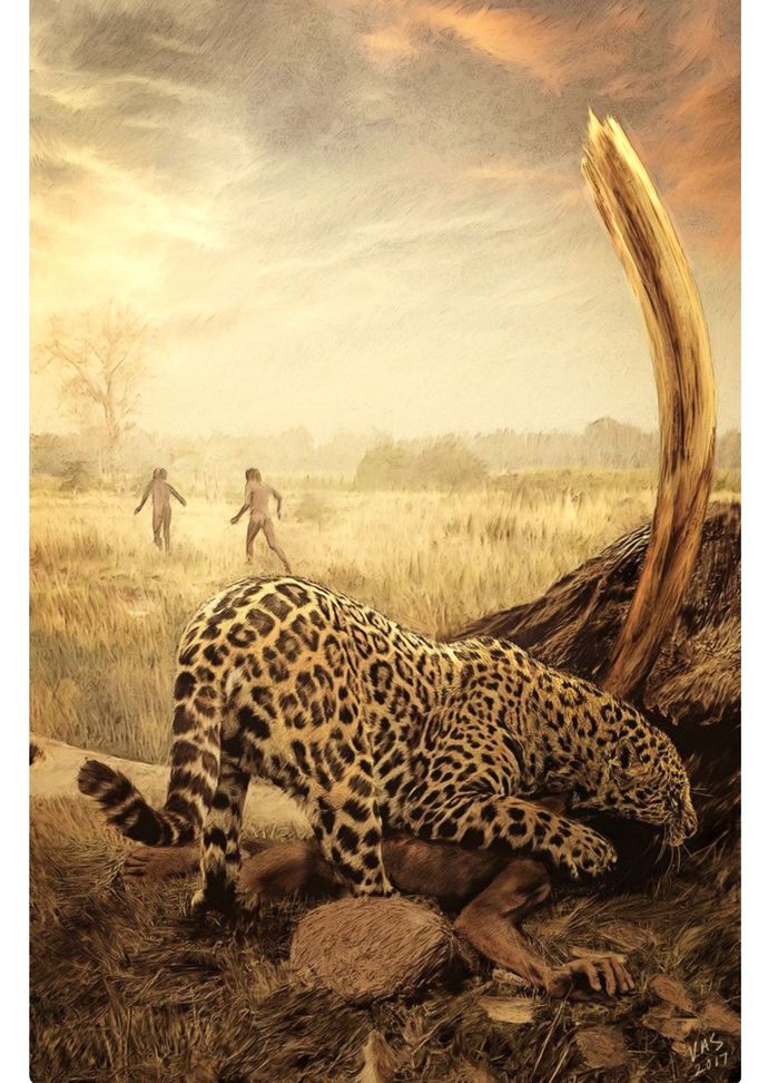 Which Is Your Favorite North American Extinct Ice Age Cat Species?