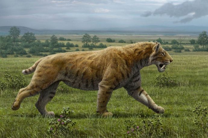 Which Is Your Favorite North American Extinct Ice Age Cat Species?