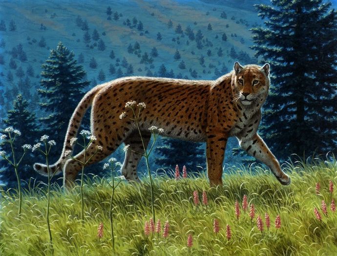 Which Is Your Favorite North American Extinct Ice Age Cat Species?