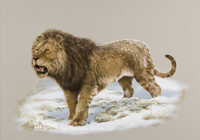Which Is Your Favorite North American Extinct Ice Age Cat Species?