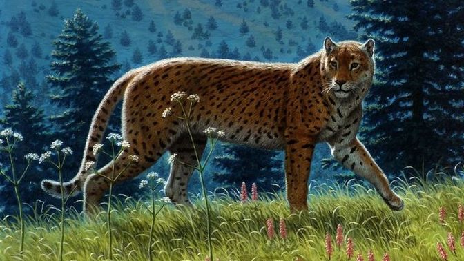 Which Is Your Favorite North American Extinct Ice Age Cat Species?